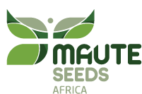 Maute Seeds Africa